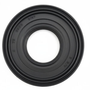 Oil Seal