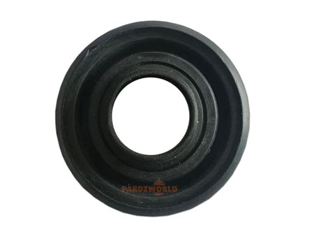 Oil Seal