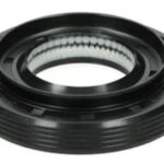 Oil Seal